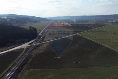 Teren de 19319 mp, în Hoghilag - 11
