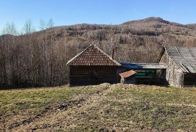 Teren de 10000 mp, în Munteni - 4