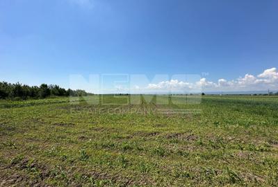 Teren agricol extravilan de 5300 mp, în Frătăuții Vechi - 5