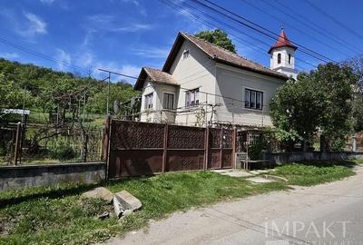 Casă individuală cu 3 camere cu Teren 3000 Mp în Petrindu - 4