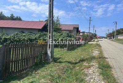 Teren în Băbana