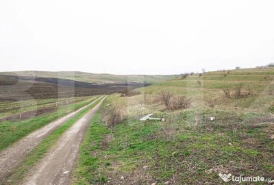 Teren în Câmpenești - 3
