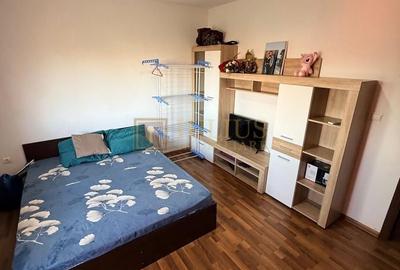 Apartament cu 2 camere decomandat, mobilat în Lipovei - 6