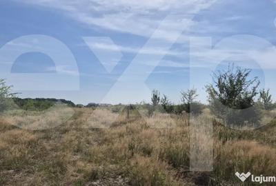 Teren de 500 mp, în Trivale - 2