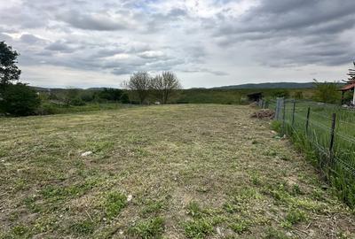 Teren Construcții intravilan de 1000 mp, în Ostroveni - 3