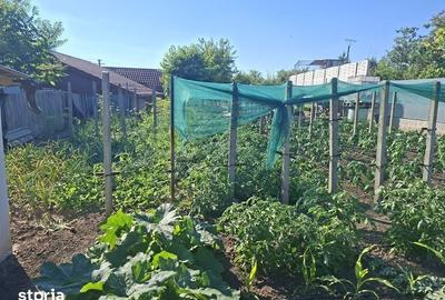Casă cu 3 camere cu Teren 713 Mp în Central - 5