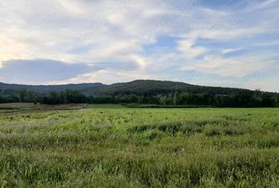 Teren de 30000 mp, în Lupoaia - 1