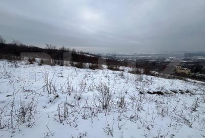 Teren de 1240 mp, în Vlădiceni - 4