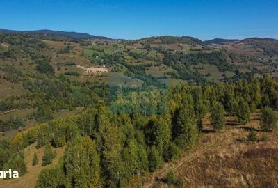 Teren de 1000 mp, în Băișoara - 8