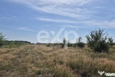 Teren de 500 mp, în Trivale