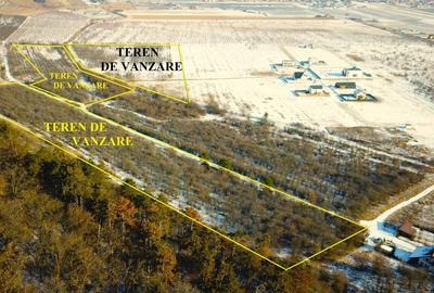 Teren Construcții extravilan de 89800 mp, în Sânpetru - 3