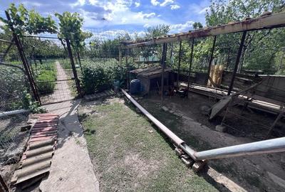 Casă cu 3 camere cu Teren 838 Mp în Fratelia - 2