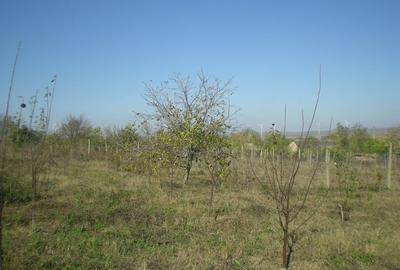 Teren de 1300 mp, în Agighiol