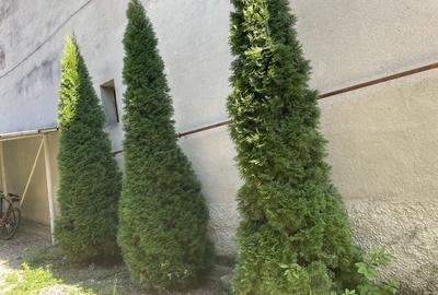 Garsonieră în Ultracentral - 7