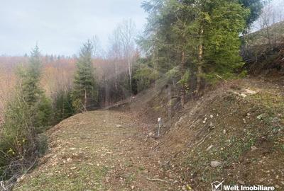Teren Construcții intravilan de 1100 mp, în Mărișel - 7