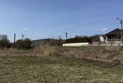 Teren de 6000 mp, în Ileanda - 2
