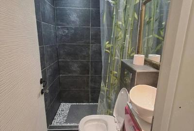 Apartament cu 2 camere decomandat în Moara de Vânt
