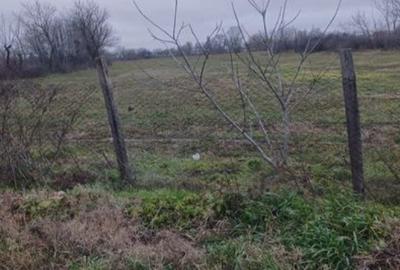 Teren de 3000 mp, în Suraia