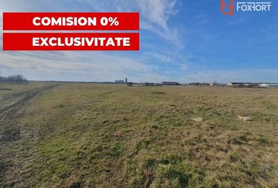 Teren Construcții intravilan de 6400 mp, în Pădureni (Jebel) - 9