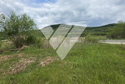 Teren Construcții intravilan de 2779 mp, în Cristian - 3