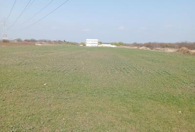 Teren de 20000 mp, în Ștefăneștii de Jos - 4