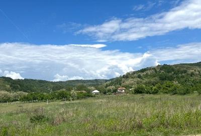 Teren de 4760 mp, în Șerbăneasa