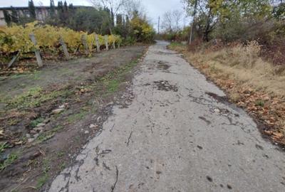 Teren de 750 mp, în Șorogari - 1