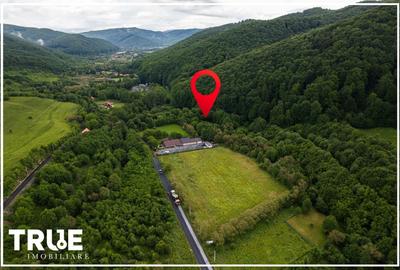Teren Construcții intravilan de 2800 mp, în Câmpu Cetății - 14