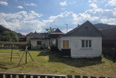 Casă cu 3 camere cu Teren 1000 Mp în Tulgheș - 2