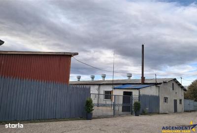 Spațiu comercial, de 400 mp, în Colonia Bod - 1