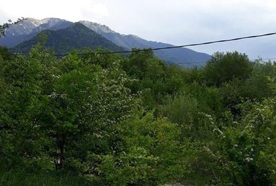 Teren de 10500 mp, în Central - 4