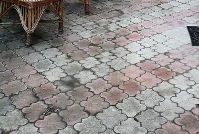 Casă cu 4 camere în Podgoria