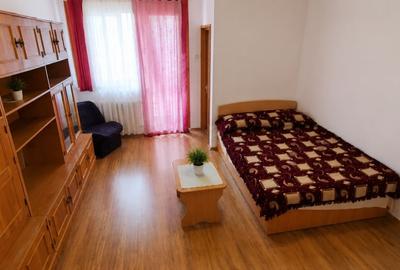 Garsonieră semidecomandată, mobilată în Brazda lui Novac