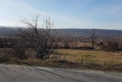 Teren de 5000 mp, în Izvoru Bârzii - 1