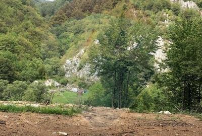 Teren Construcții de 1127 mp, în Remeți - 14