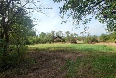 Casă cu Teren 9223 Mp în Baia de Criș - 9