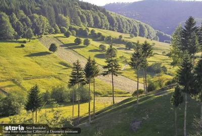 Casă cu 4 camere în Merișor - 1