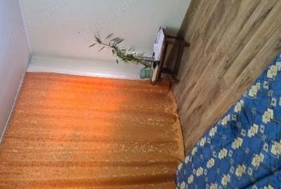 Apartament cu 1 camere circular în Prundu - 1