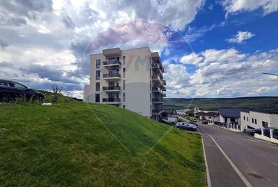 Apartament cu 2 camere semidecomandat în Florești - 5