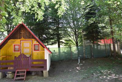 Casă cu 4 camere cu Teren 300 Mp în Lepșa - 4