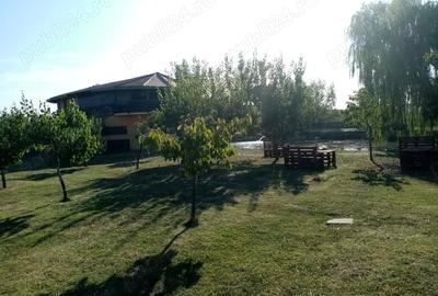 Casă cu 6 camere cu Teren 3560 Mp în Central - 4