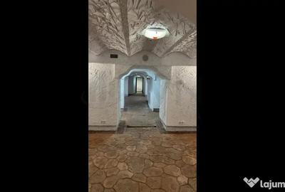 Spațiu comercial, de 435 mp, în Floreasca