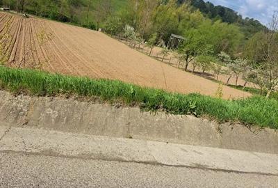 Teren de 3600 mp, în Probota - 3