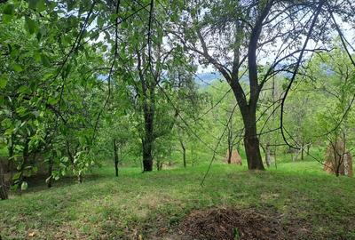 Teren în Șotrile - 8
