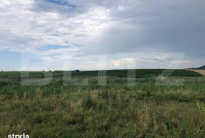 Teren de 1000 mp, în Sânpetru