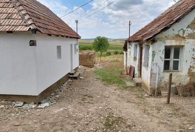 Casă cu 2 camere în Bălaia