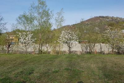 Teren de 9000 mp, în Pângărați - 2