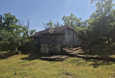 Casă cu 4 camere cu Canalizare în Independența - 7