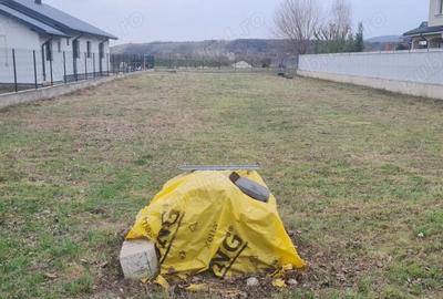 Teren de 1000 mp, în Vernești - 6