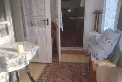 Casă cu 3 camere cu Teren 1168 Mp în Bivolari - 4